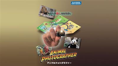 Animal photographer