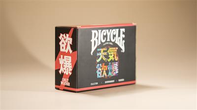 Bicycle Chilly Weather Blind Pack (Half Brick) Playing Cards