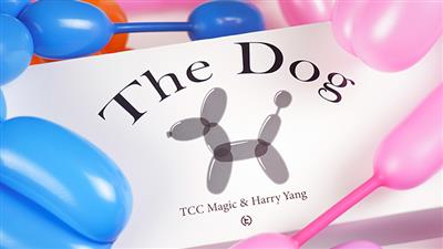 The Dog by TCC Magic & Harry Yang