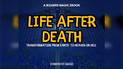 Life After Death by Dominicus Bagas eBook DOWNLOAD