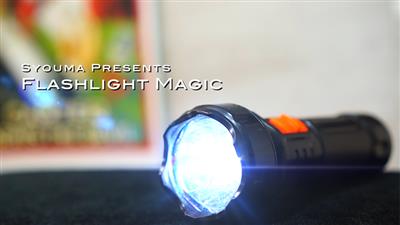 Magic Flashlight (2pk) by Tejinaya Magic - Trick