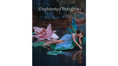 ENCHANTED INSIGHTS BLUE (German Instruction) by Magic Entertainment Solutions - Trick