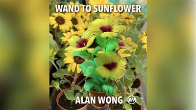 WAND TO SUNFLOWER LARGE by Alan Wong  - Trick