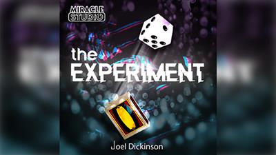 THE EXPERIMENT by Joel Dickinson