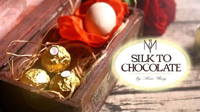 Silk to Chocolate (Ferrero Rocher) by Sean Yang