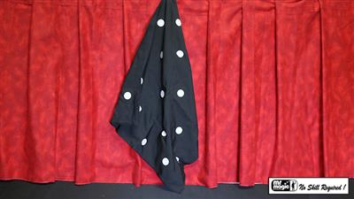 Polka Dot Silk (18'' x 18'') by Mr. Magic - Trick