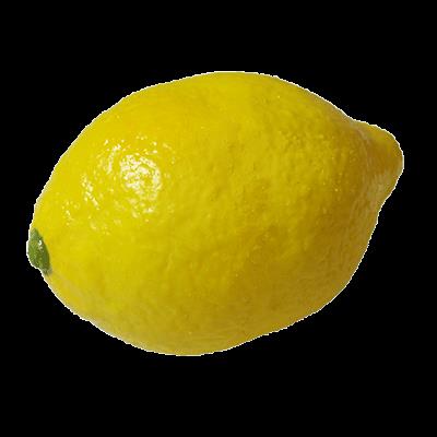 Super Real Latex Lemon - Trick